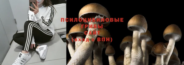 соль ск Беломорск