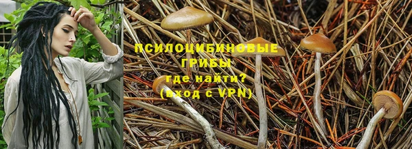 прущая мука Белокуриха