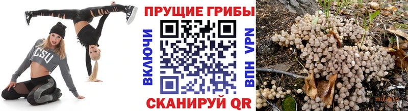 Псилоцибиновые грибы GOLDEN TEACHER  Велиж 